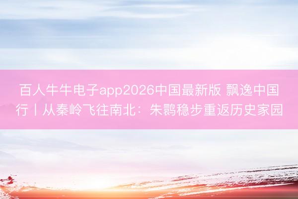 百人牛牛电子app2026中国最新版 飘逸中国行丨从秦岭飞往南北：朱鹮稳步重返历史家园